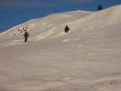 Auchenbourach 
